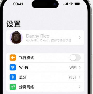 横山appleID维修服务iPhone设置中Apple ID显示为灰色无法使用 