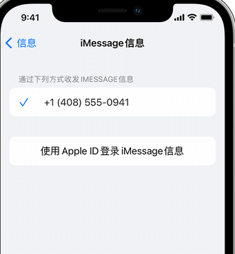 横山apple维修iPhone上无法正常发送iMessage信息 