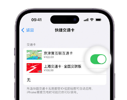 横山apple维修点分享iPhone上更换Apple Pay快捷交通卡手绘卡面 