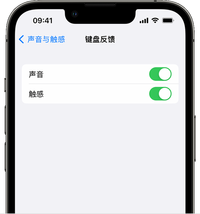 横山苹果14维修店分享如何在 iPhone 14 机型中使用触感键盘 