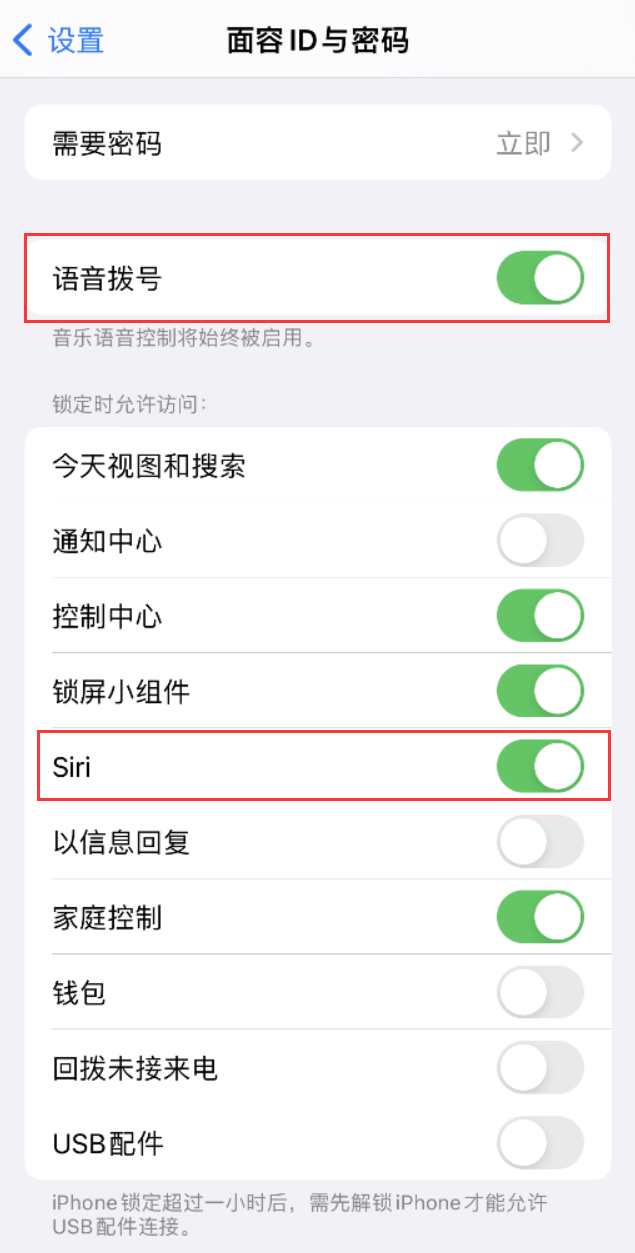 横山苹果维修网点分享不解锁 iPhone 的情况下通过 Siri 拨打电话的方法 