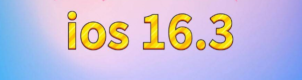 横山苹果服务网点分享苹果iOS16.3升级反馈汇总 