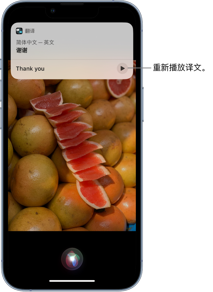 横山苹果14维修分享 iPhone 14 机型中使用 Siri：了解 Siri 能帮你做什么 