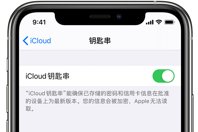 横山苹果手机维修分享在 iPhone 上开启 iCloud 钥匙串之后会储存哪些信息 